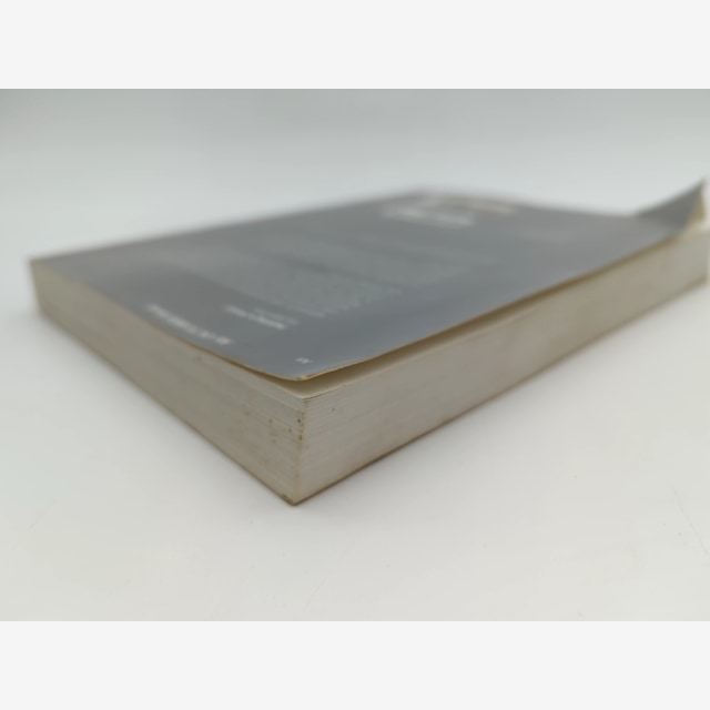 Painting As Model by Yve-Alain Bois (Paperback, 1993) Art Theory by Yve-Alain Bois — photo 4