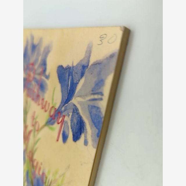 Pathway to Magic The Story of May Gibbs in Western Australia by Jean Lang, 1991 by Jean Lang — photo 5