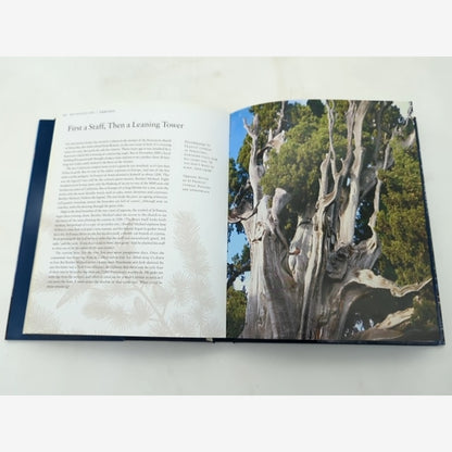 Remarkable Trees Of The World by Thomas Pakenham (Hardcover, 2003) Botany — photo 2