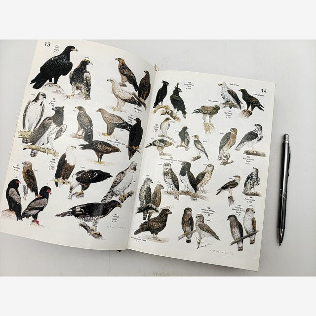 Roberts Birds Of Southern Africa by Austin Roberts, 891 Species! SIGNED — photo 3