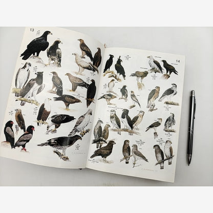 Roberts Birds Of Southern Africa by Austin Roberts, 891 Species! SIGNED — photo 3