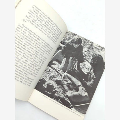 Storm Boy by Colin Thiele (Paperback, 1977) 1st Edition by Colin Thiele — photo 3
