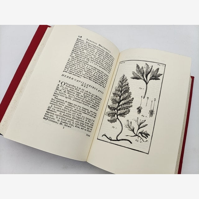 Synopsis Methodica Stirpium Britannicarum (ray Society) by John Ray by John Ray — photo 2