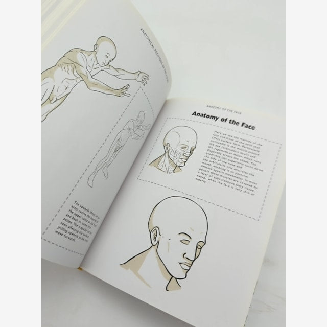 The Anatomy Figure Drawing Artist's Handbook by Viv Foster, Anatomy by Viv Foster — photo 2