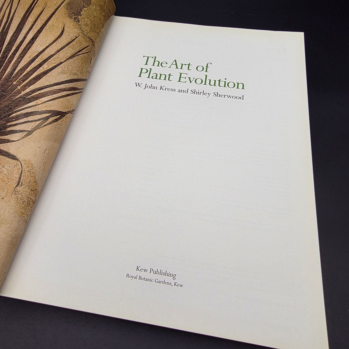 The Art of Plant Evolution — photo 4