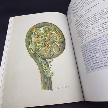 The Art of Plant Evolution — photo 5
