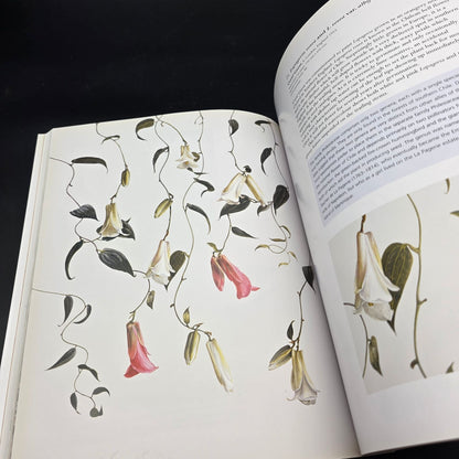 The Art of Plant Evolution — photo 6