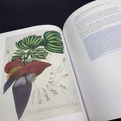 The Art of Plant Evolution — photo 7