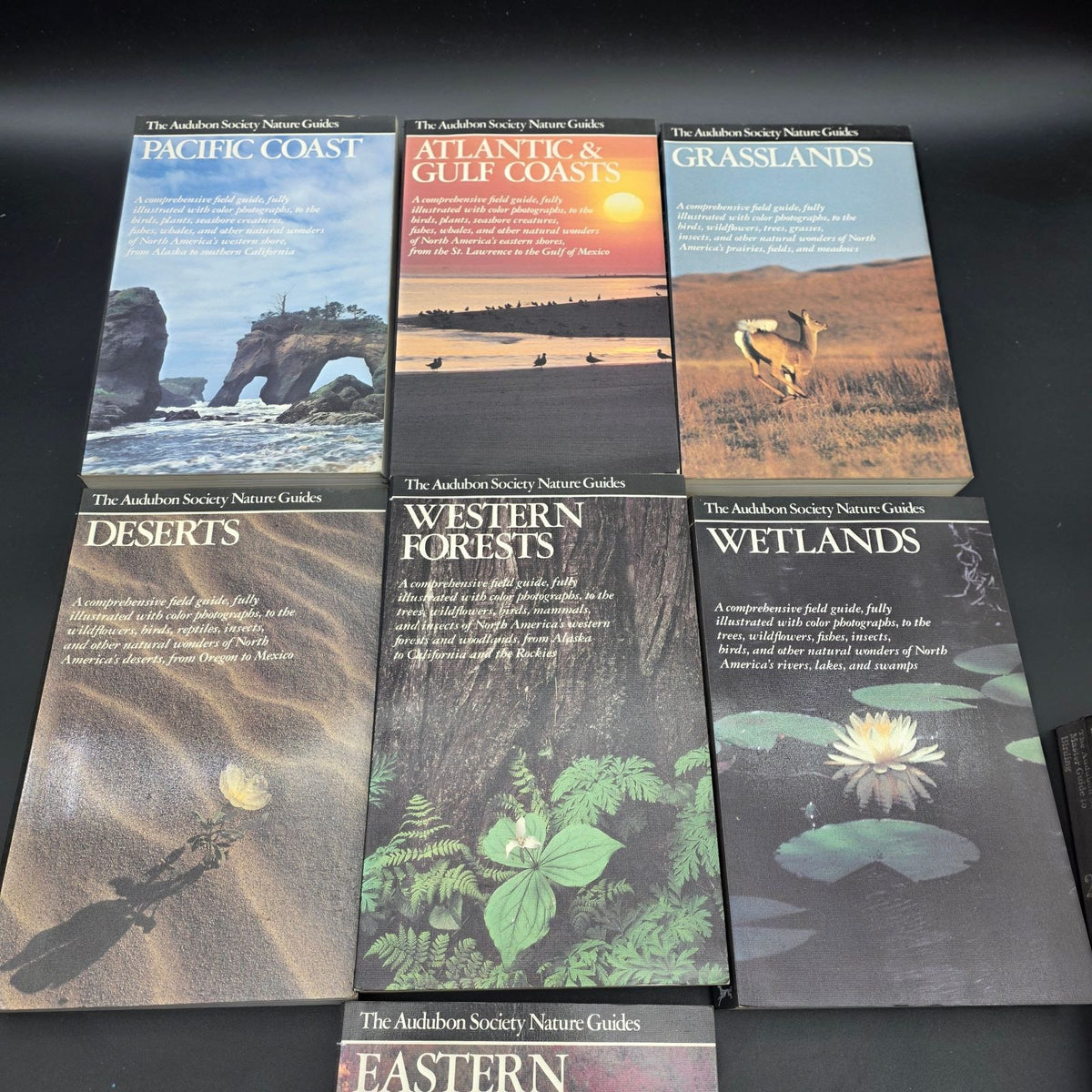The Audubon Society Master Guide to Birding — photo 4