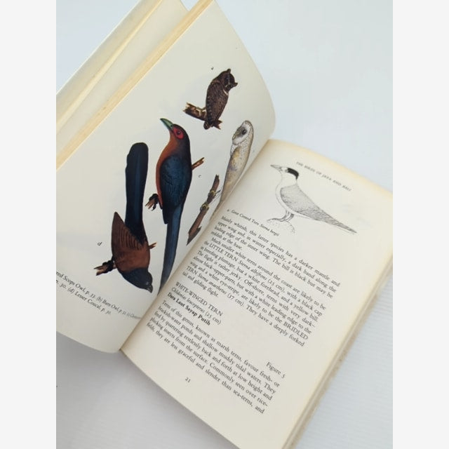 The Birds Of Java And Bali (images Of Asia) by Stephen Nash Derek Holmes — photo 3