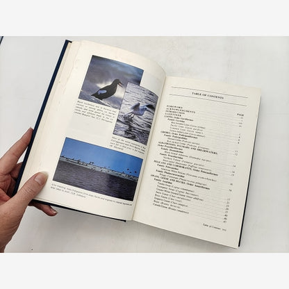 The Birds of the Beaufort Sea by Dale R Herter & Stephen R Johnson SIGNED — photo 3