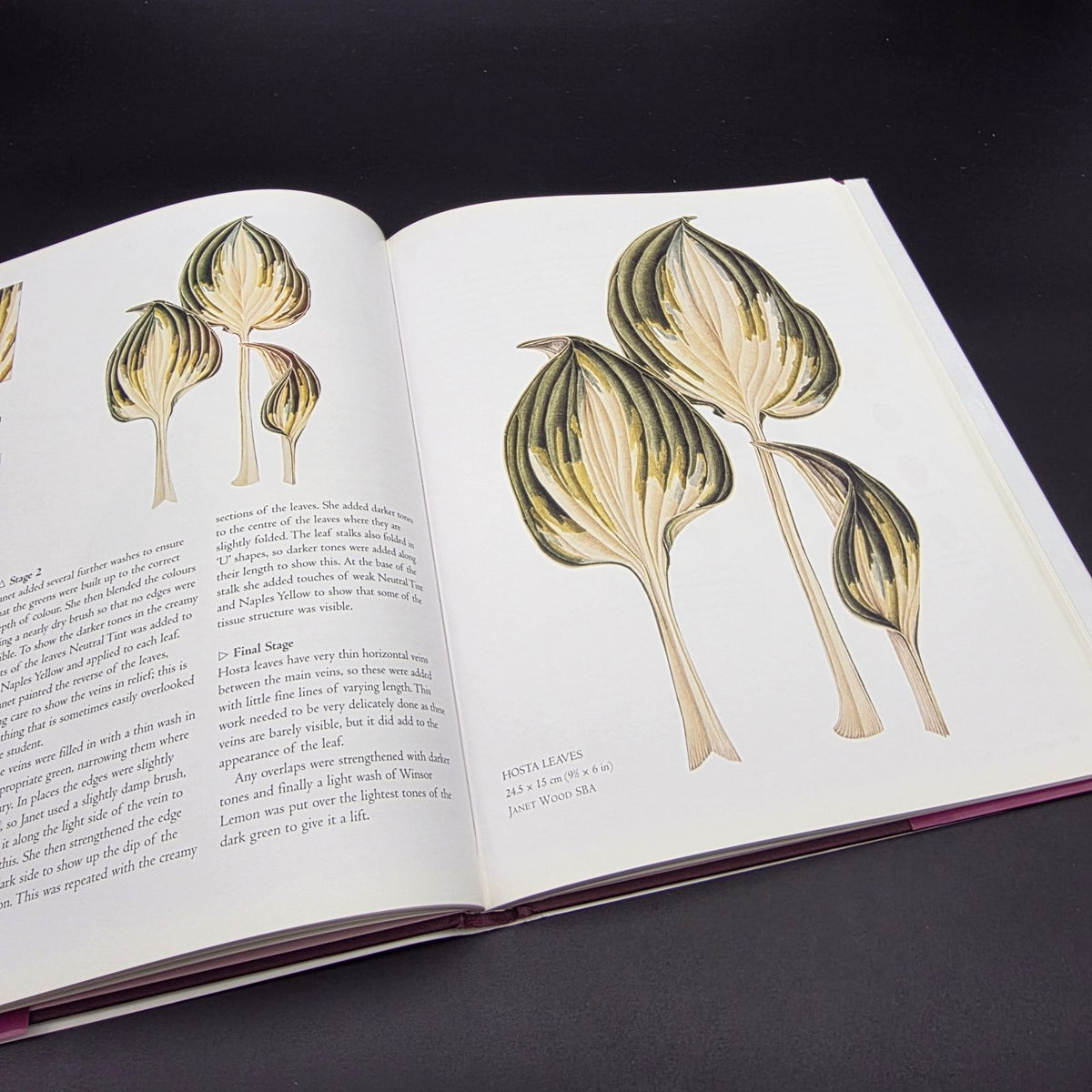 The Botanical Palette: Colour for the Botanical Painter — photo 3