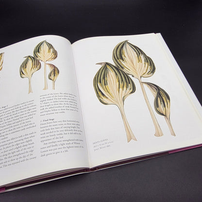 The Botanical Palette: Colour for the Botanical Painter — photo 3