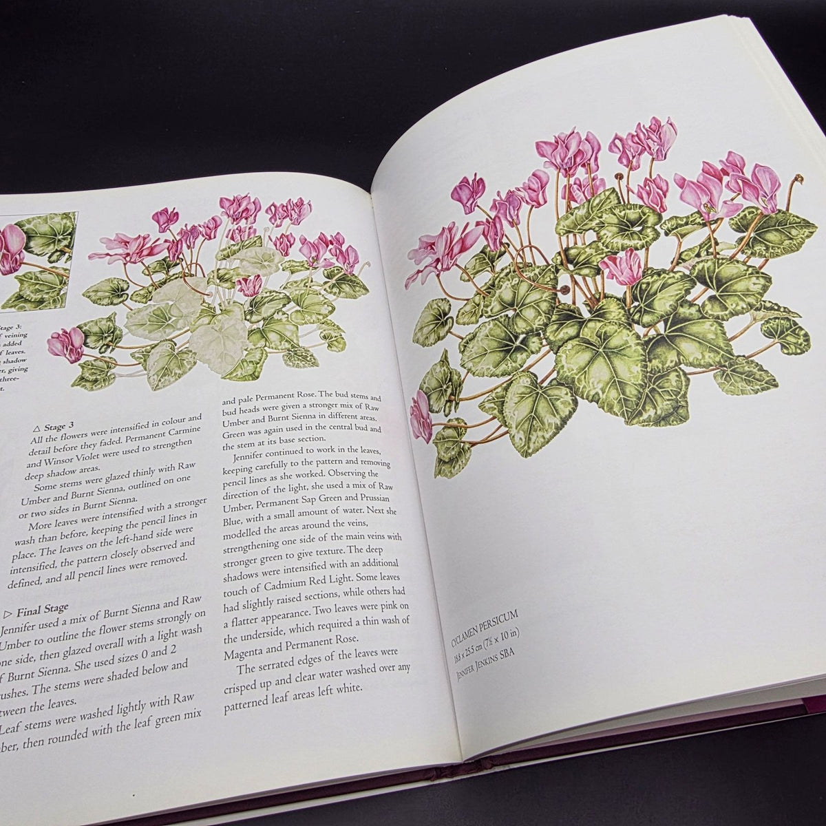 The Botanical Palette: Colour for the Botanical Painter — photo 4
