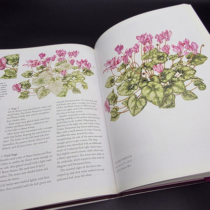 The Botanical Palette: Colour for the Botanical Painter — photo 4