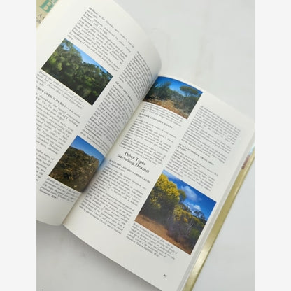 The Bush: Guide To The Vegetated Landscapes Of Australia by Ian G Read, Botany — photo 3