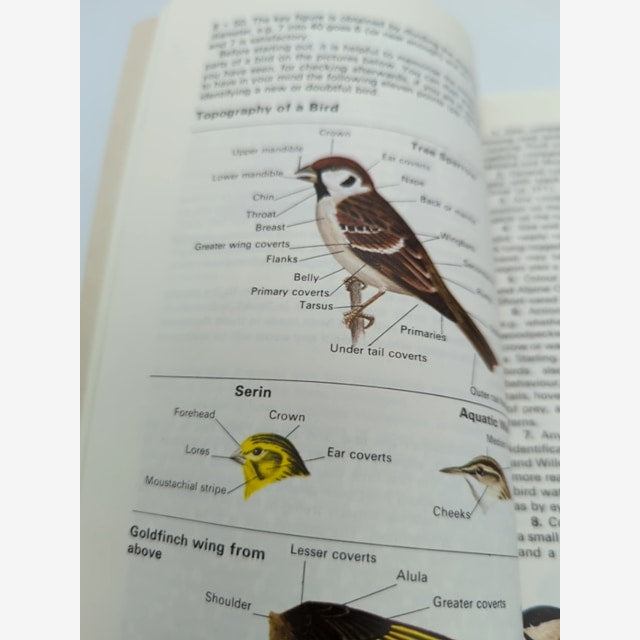 The Collins Guide to the Birds of Britain and Europe (Collins Pocket Guide), Her — photo 5