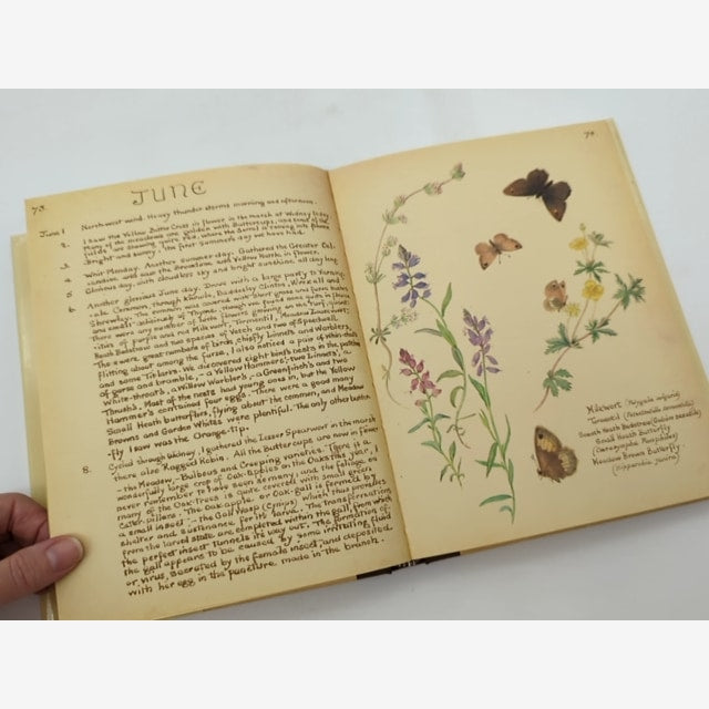 The Country Diary Of An Edwardian Lady Facsimile Reproduction Of Naturalist's Di by Edith Holden — photo 5