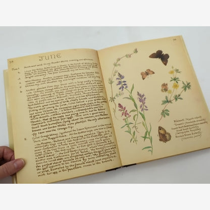 The Country Diary Of An Edwardian Lady Facsimile Reproduction Of Naturalist's Di by Edith Holden — photo 5