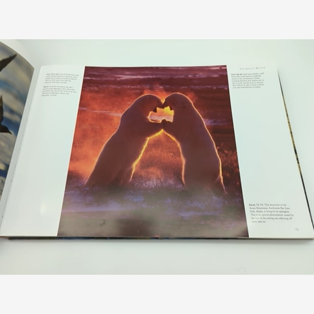 The Frozen World: A Panoramic Vision, Patrick Hook, Coffee Table Book ARCTIC by Patrick Hook — photo 4