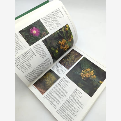 The Gardeners Wildflower Catalogue by Denise Greig (Paperback, 1987) Gardening — photo 3