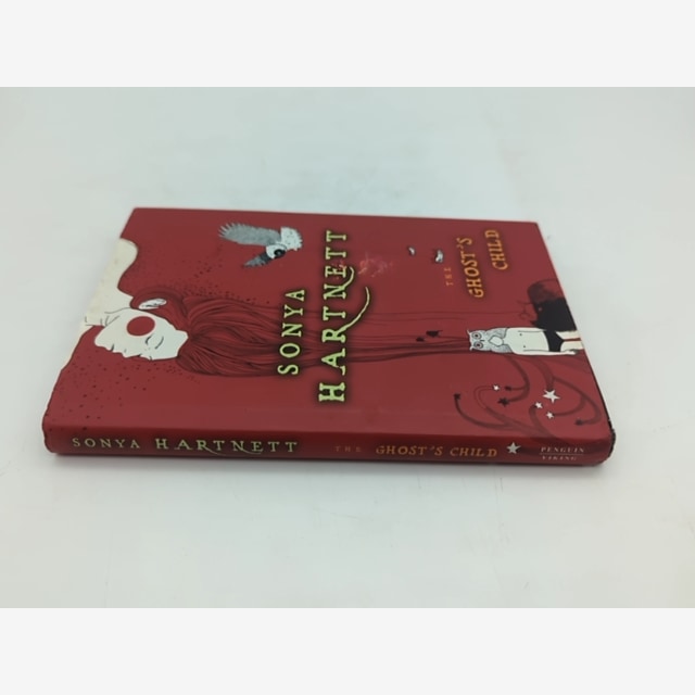 The Ghost's Child by Sonya Hartnett (Hardcover, 2021) Ghosts by Sonya Hartnett — photo 4