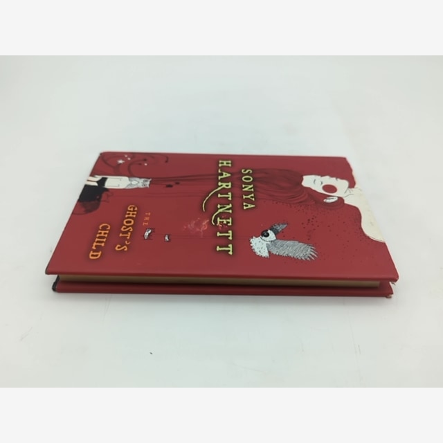 The Ghost's Child by Sonya Hartnett (Hardcover, 2021) Ghosts by Sonya Hartnett — photo 6