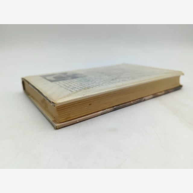 The Long Ride Brumby Book by Mary Elwyn Patchett, Australian History by Mary Elwyn Patchett — photo 4
