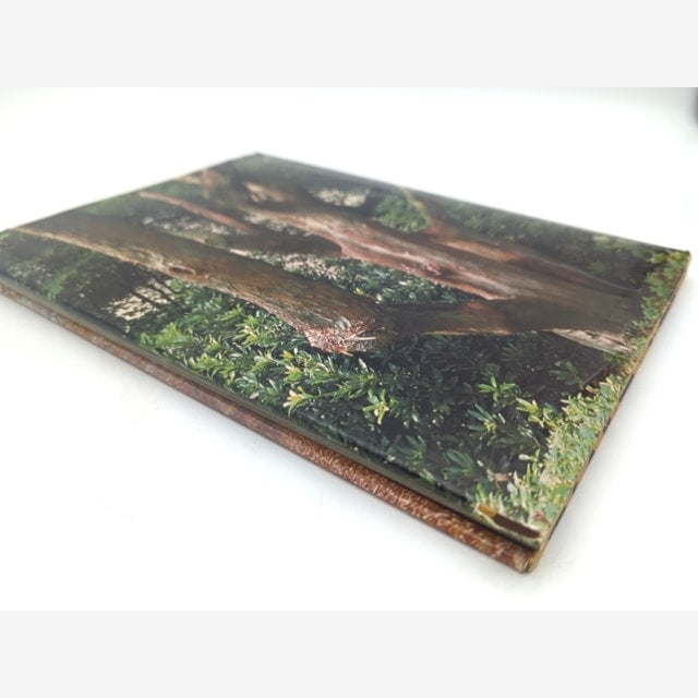 The Love Of Trees by Kenneth A Beckett (Hardcover, 1975) 1st Edition Botany — photo 6