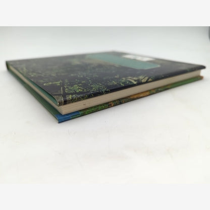 The Medieval Garden by Sylvia Landsberg (Hardcover) Herbs layouts measurements by Sylvia Landsberg — photo 6