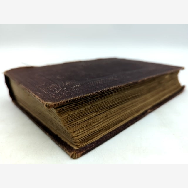 The Old Red Sandstone by Hugh Miller (Cloth, 1859) Science & Medicine — photo 4