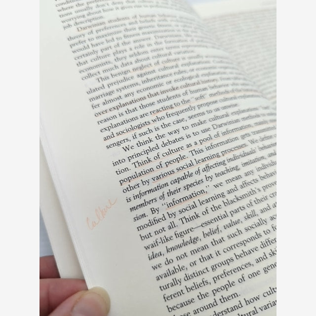 The Origin And Evolution Of Cultures by Peter J. Richerson Robert Boyd by Peter J. Richerson, Robert Boyd — photo 3
