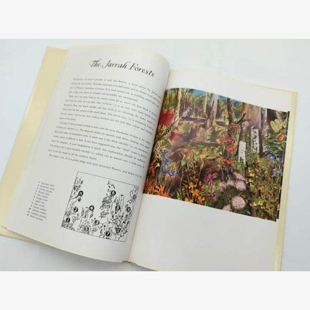 The Shell Guide To Australian Wildflowers by Malcolm Mcgregor Dennis Adams — photo 2
