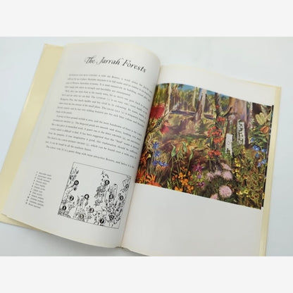 The Shell Guide To Australian Wildflowers by Malcolm Mcgregor Dennis Adams — photo 2