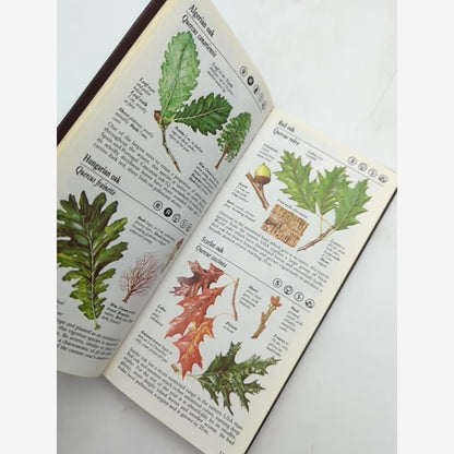 The Simon And Schuster Pocket Guide To Trees by Keith Rushforth, Trees — photo 4