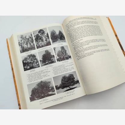 The Use Of Trees And Shrubs In The Dry Country Of Australia by Norman Hall — photo 3