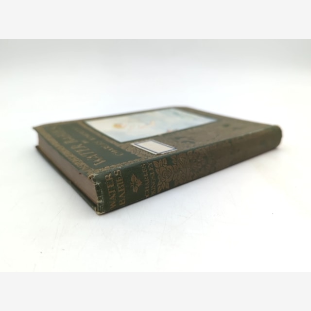 The Water Babies by Charles Kingsley (Hardcover, 1915) Children's by Charles Kingsley — photo 6