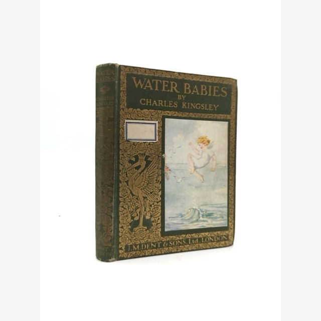 The Water Babies by Charles Kingsley (Hardcover, 1915) Children's by Charles Kingsley book cover
