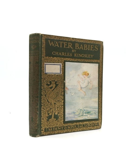 The Water Babies by Charles Kingsley (Hardcover, 1915) Children's by Charles Kingsley book cover