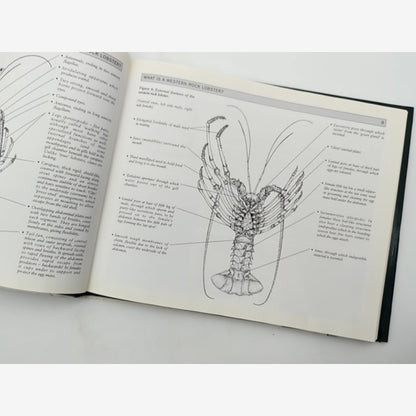 The Western Rock Lobster, Panulirus Cygnus by H Gray, Volume 1 Fishing WA — photo 2
