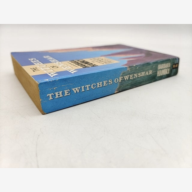 The Witches Of Wenshar by Barbara Hambly (Paperback, 1987) Fantasy by Barbara Hambly — photo 2