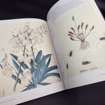 Treasures of Botanical Art — photo 10