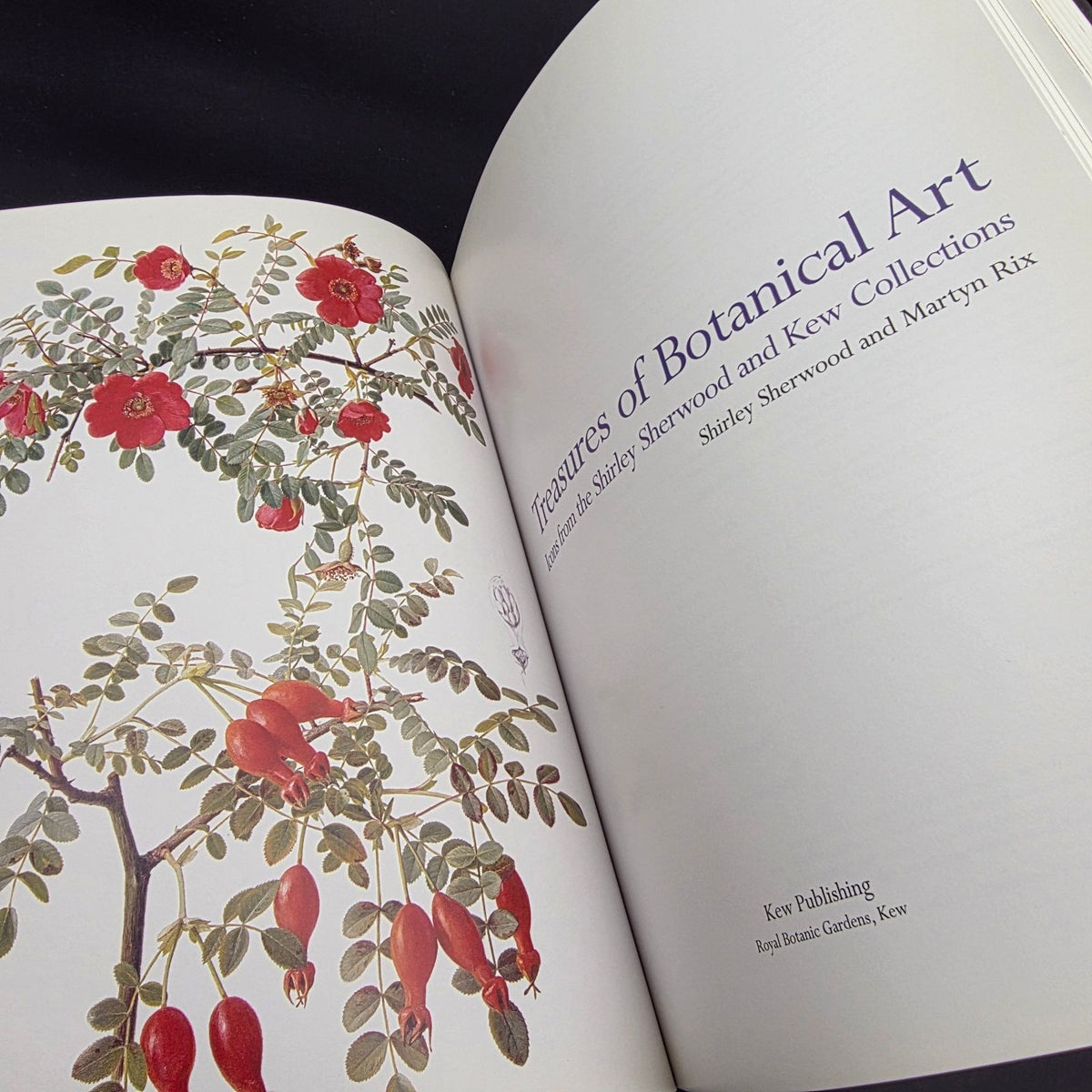 Treasures of Botanical Art — photo 4