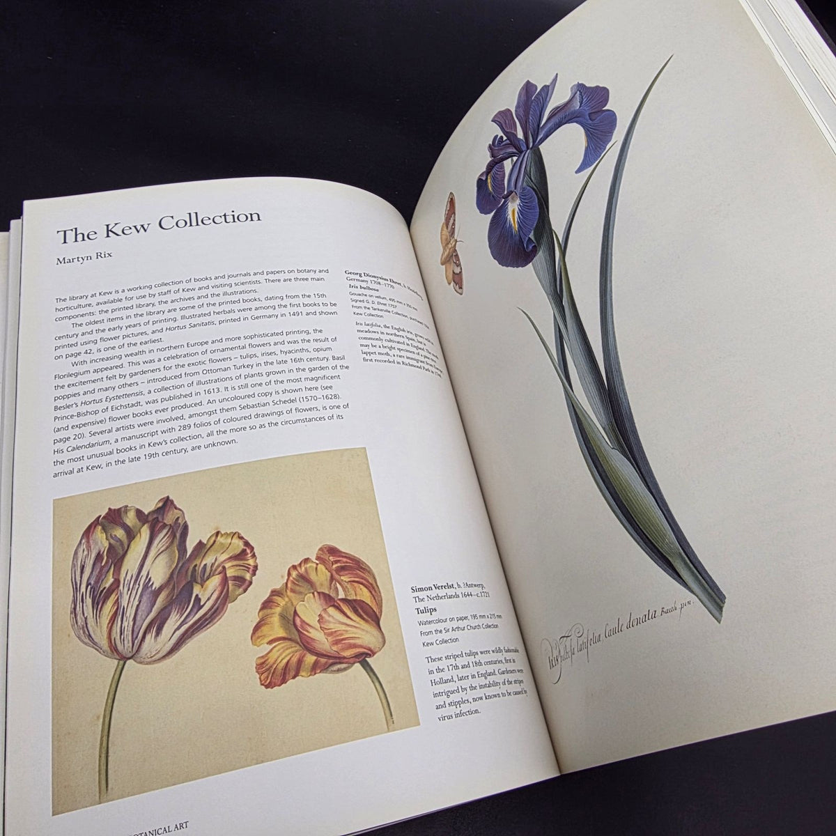 Treasures of Botanical Art — photo 5
