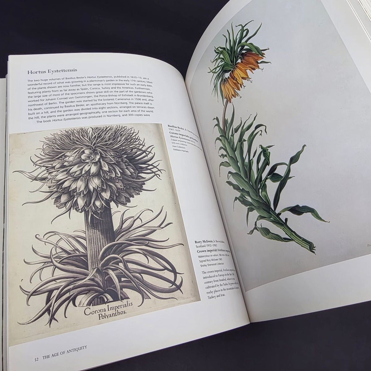 Treasures of Botanical Art — photo 7