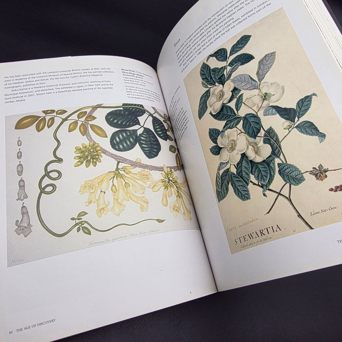 Treasures of Botanical Art — photo 8