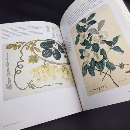 Treasures of Botanical Art — photo 8