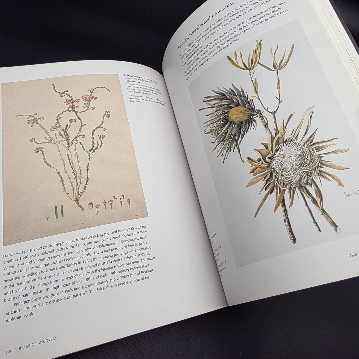 Treasures of Botanical Art — photo 9