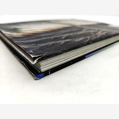 Treehouses by A Mornement & P Henderson, Hardcover Coffee Table Design Book by Adam Mornement, Paula Henderson — photo 5