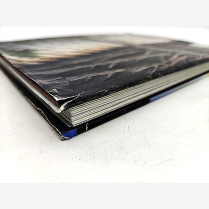 Treehouses by A Mornement & P Henderson, Hardcover Coffee Table Design Book by Adam Mornement, Paula Henderson — photo 7